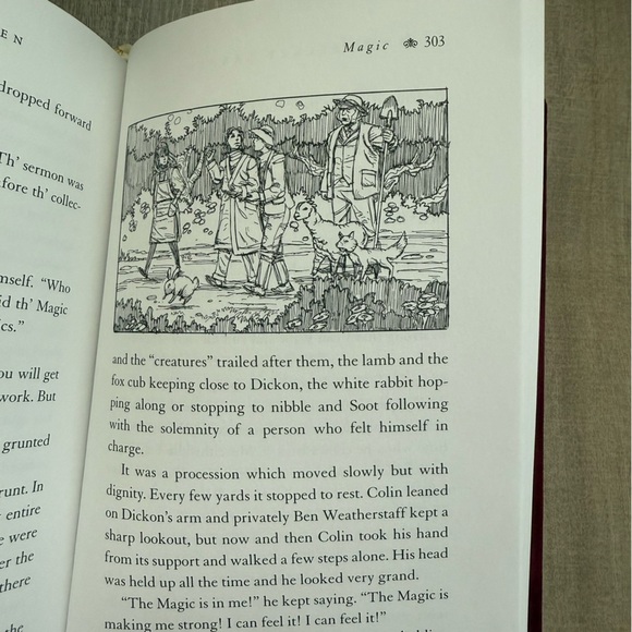 Hallmark Gift Series “The Secret Garden” Burgundy Velvet Hardback Kids Book - Picture 6 of 7